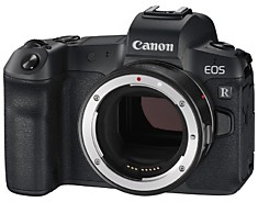 EOS R Body